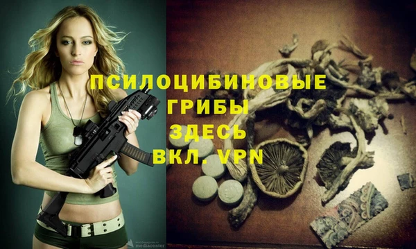 мдпв Баксан