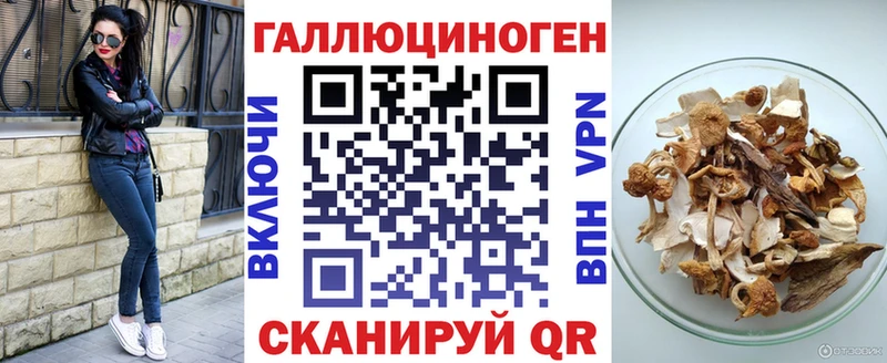 маркетплейс формула Кстово Галлюциногенные грибы Psilocybine cubensis